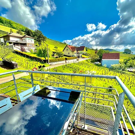 Holiday home Janea In Vineyard Soft Green House Reichsfeld