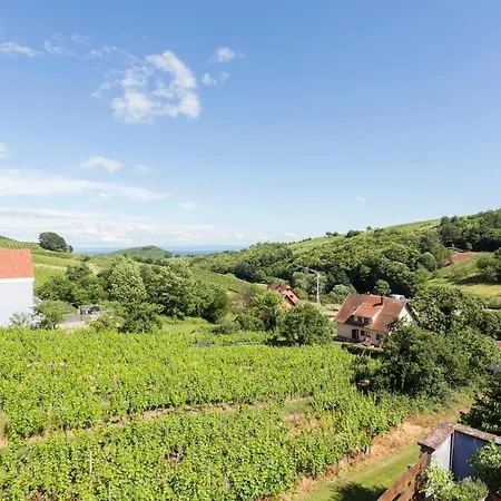 Domaine Bohn Green winehouse Reichsfeld