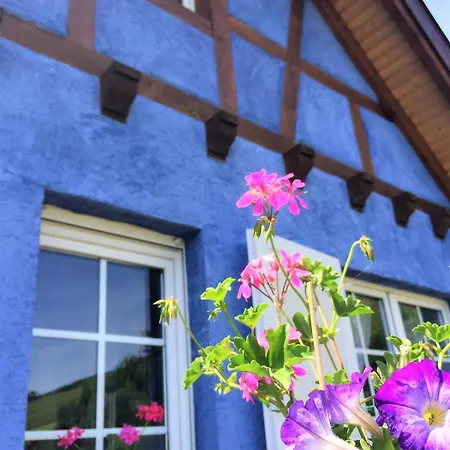 Domaine Bohn Green winehouse Ferienhaus