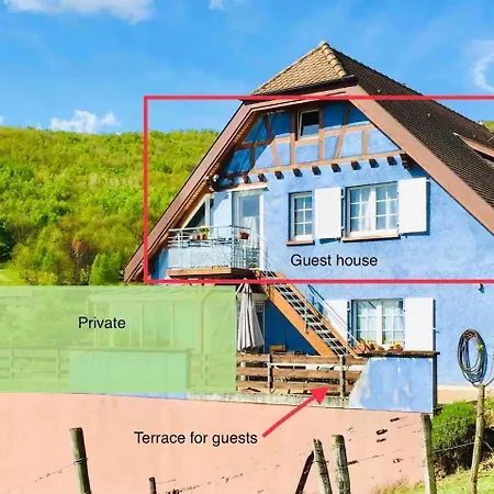 別荘 Janea In Vineyard Soft House *