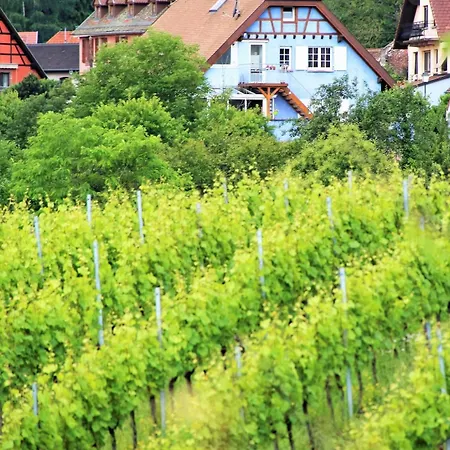 Janea In Vineyard Soft House Reichsfeld