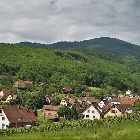 Domaine Bohn Green winehouse Ferienhaus Reichsfeld