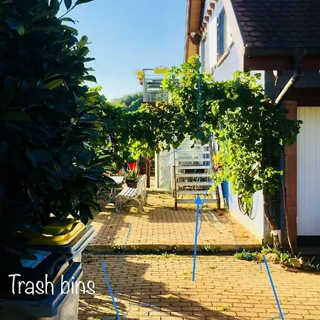 Domaine Bohn Green winehouse Ferienhaus Reichsfeld