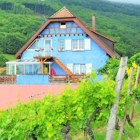 Ferienhaus Domaine Bohn Green winehouse